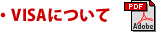 VISA�ɂ���